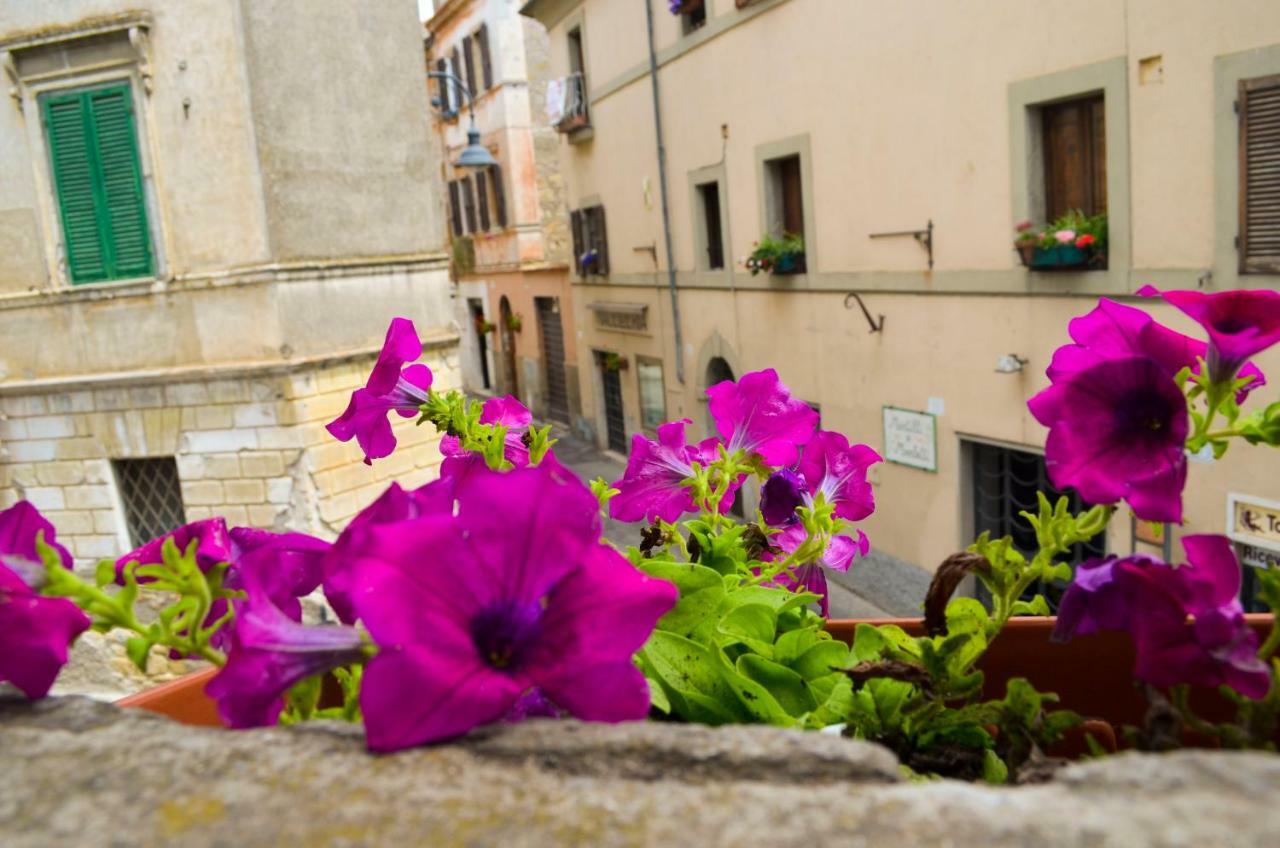 تاركوينيا B&B Chiostro San Marco المظهر الخارجي الصورة
